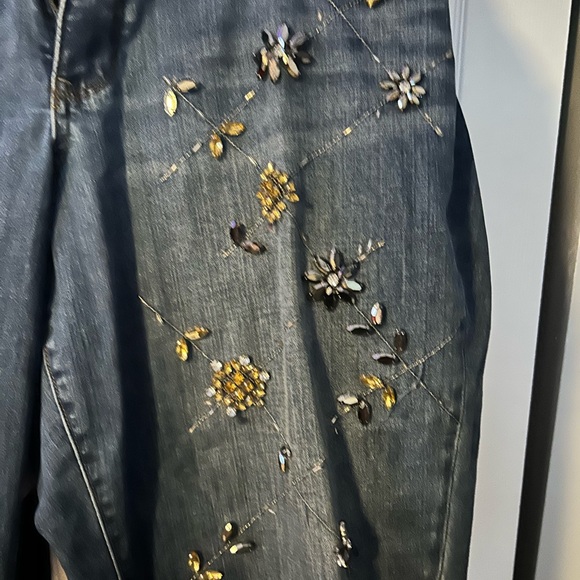 Lane Bryant Rhinestone Jeans, Plus Size 18 - Picture 3 of 8